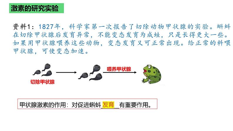 浙教版2019高二生物选择性必修1  3.3激素调节身体多种机能 课件第6页