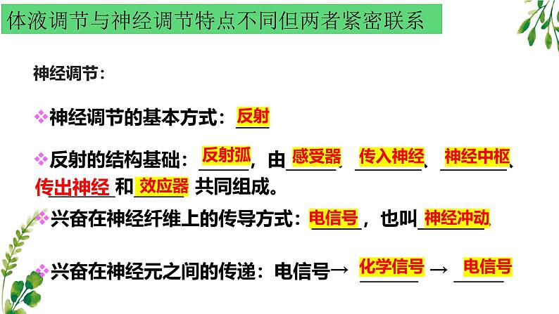 浙教版2019高二生物选择性必修1  3.4体液调节和神经调节共同维持机体的稳态 课件05