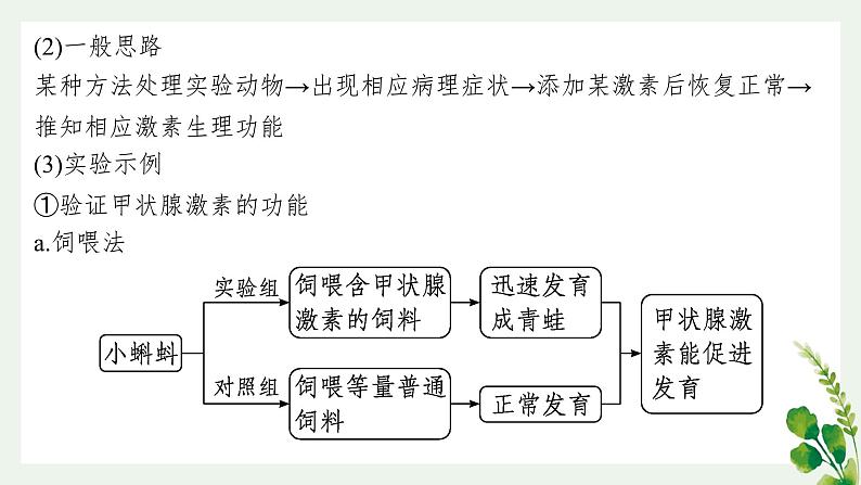 浙教版2019高二生物选择性必修1  第三章体液调节 章末复习课件第4页