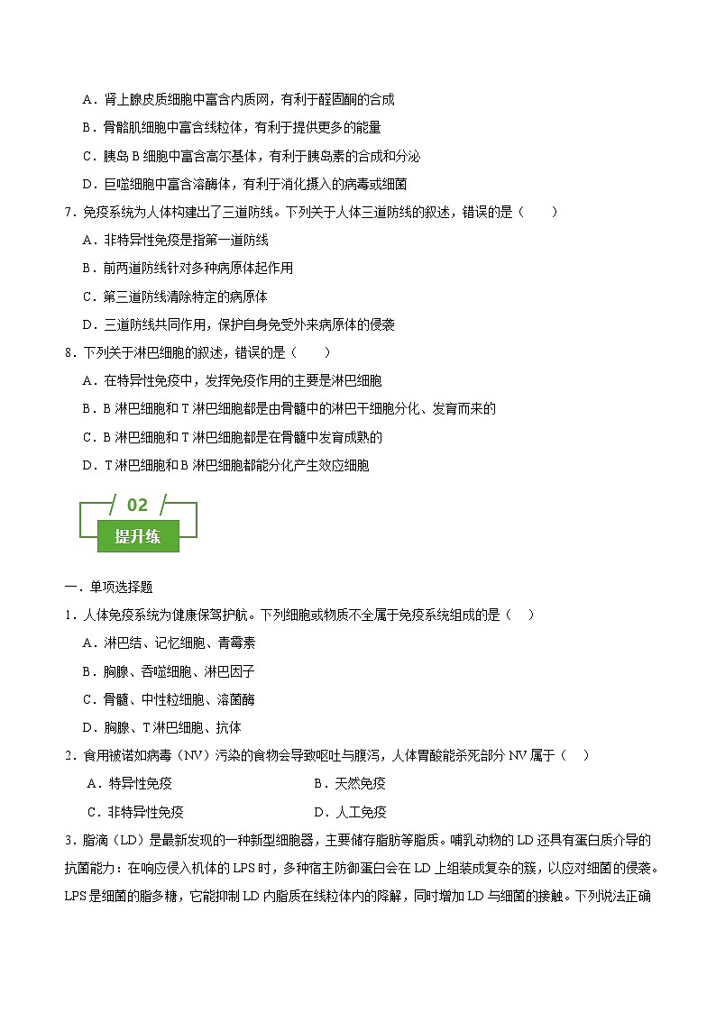 浙教版2019高二生物选择性必修1  4.1免疫系统识别“自己”和“非己” 分层练习02