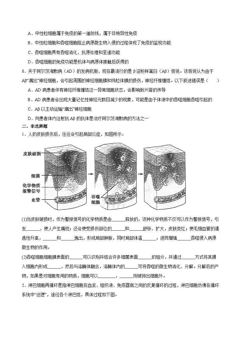 浙教版2019高二生物选择性必修1  4.2人体通过非特异性免疫对抗病原体 分层练习02