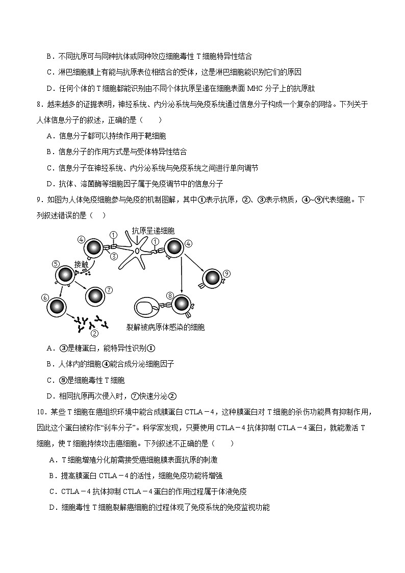 浙教版2019高二生物选择性必修1  4.3人体通过特异性免疫对抗病原体 分层练习03