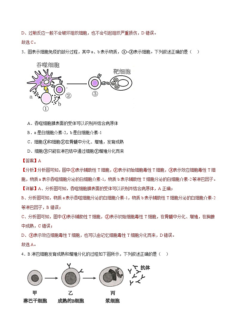 浙教版2019高二生物选择性必修1  第四章免疫调节 章末检测02