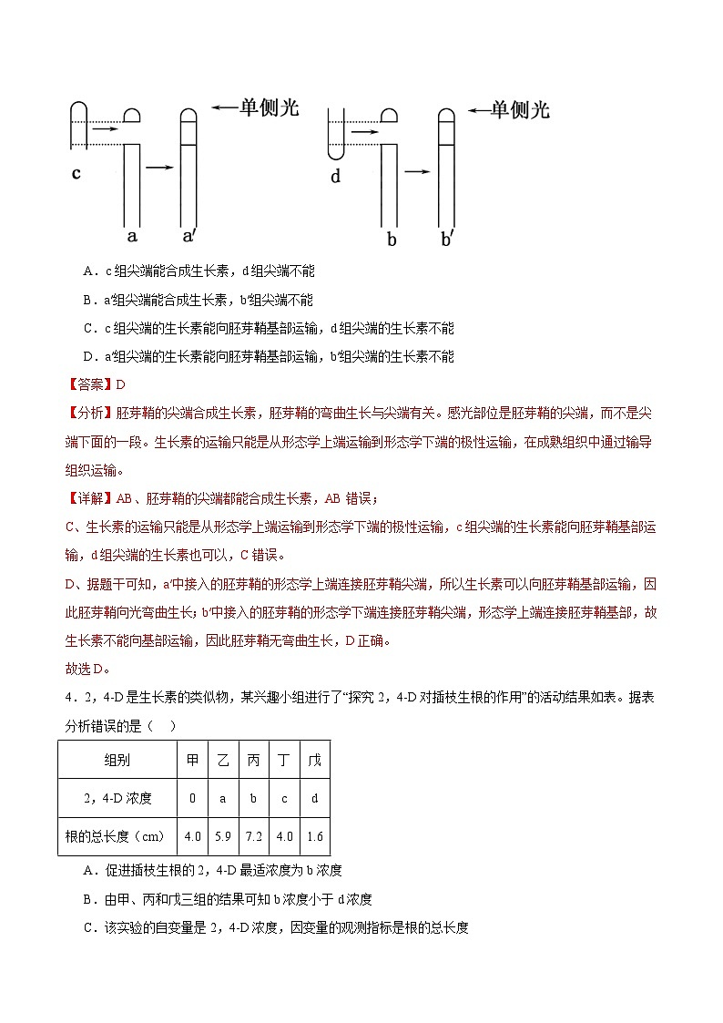 浙教版2019高二生物选择性必修1  5.1 生长素的发现开启了人们对植物激素的探索（解析版）第3页