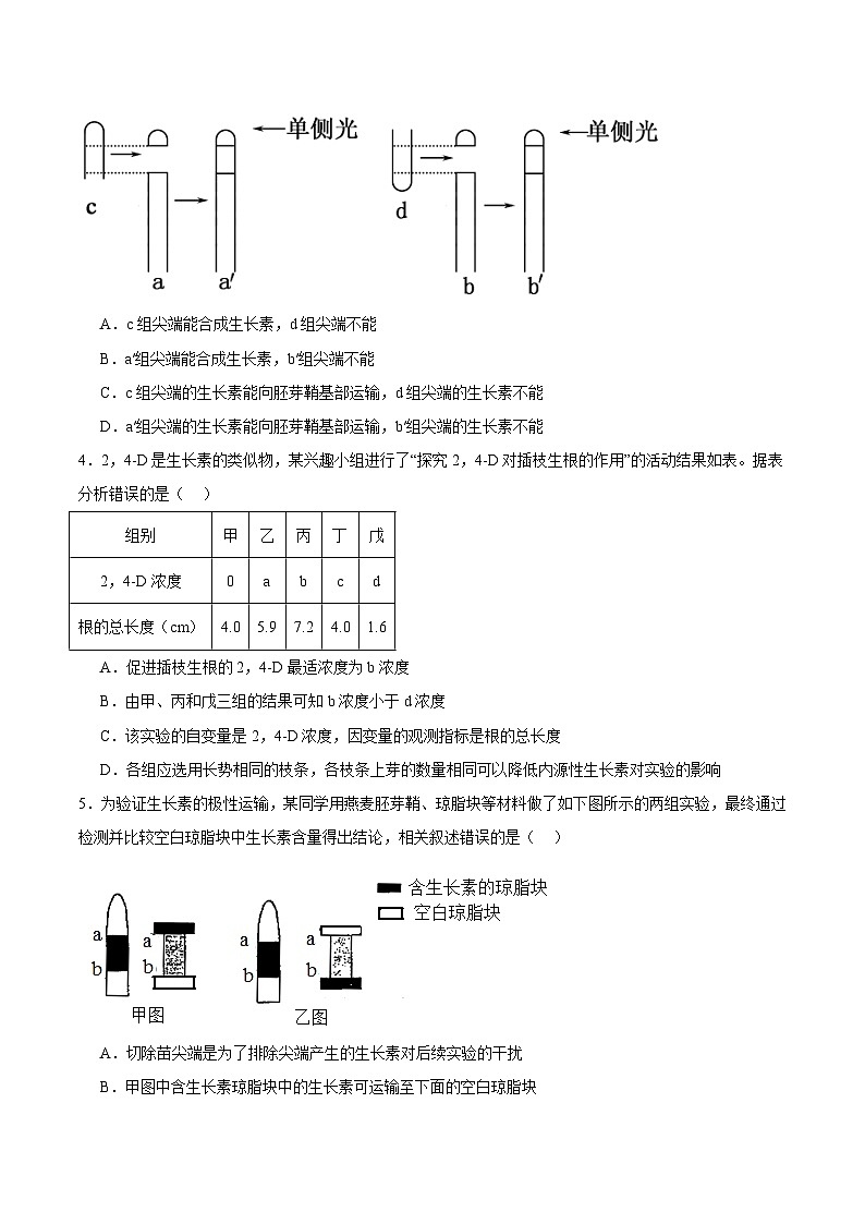 浙教版2019高二生物选择性必修1  5.1 生长素的发现开启了人们对植物激素的探索（原卷版）第2页