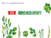浙教版2019高二生物选择性必修1  第五章植物生命活动的调节 章末复习课件