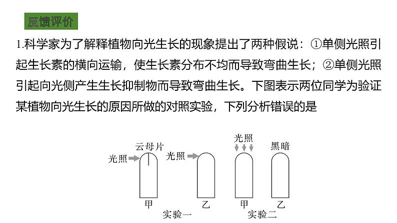 浙教版2019高二生物选择性必修1  第五章植物生命活动的调节 章末复习课件08