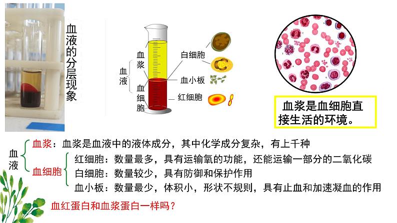 浙教版2019高二生物选择性必修1  1.1人体细胞生活在内环境中 课件第4页