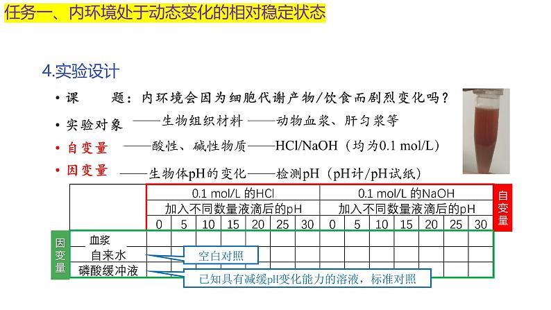 浙教版2019高二生物选择性必修1  1.2内环境的稳态保障正常生命活动 课件08