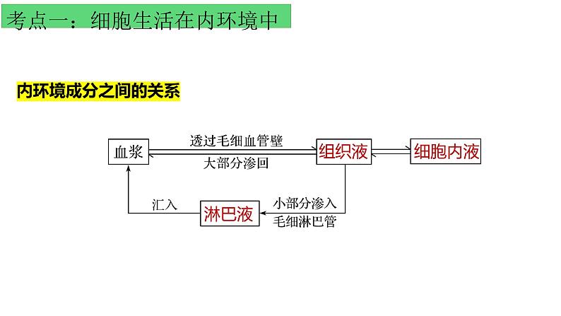 浙教版2019高二生物选择性必修1  第一章内环境与稳态 章末复习课件05