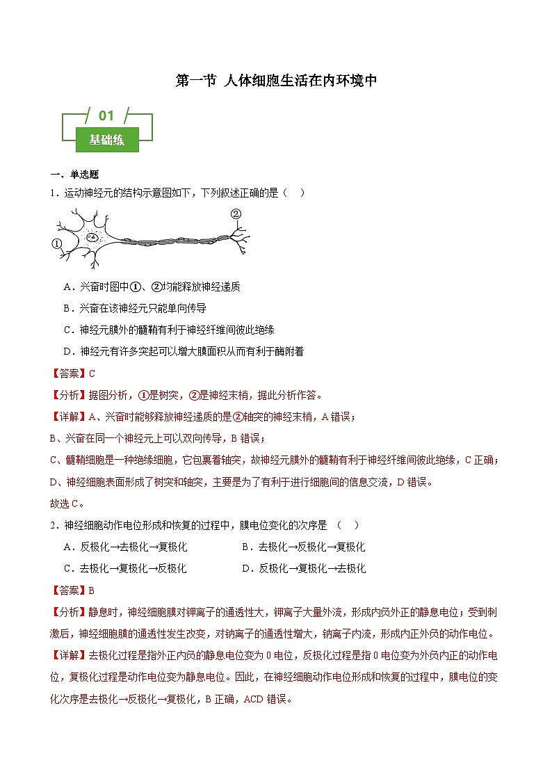 浙教版2019高二生物选择性必修1  2.1神经系统第神经调节的结构基础 分层练习01