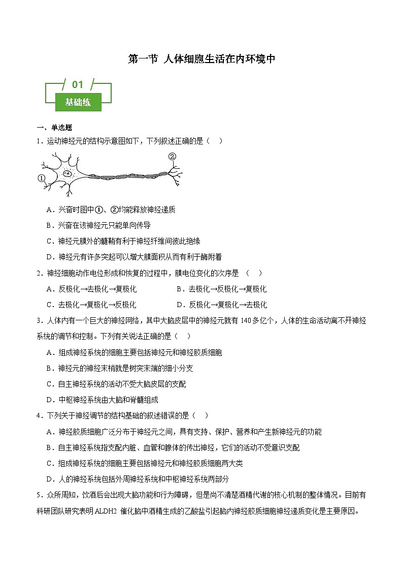 浙教版2019高二生物选择性必修1  2.1神经系统第神经调节的结构基础 分层练习01