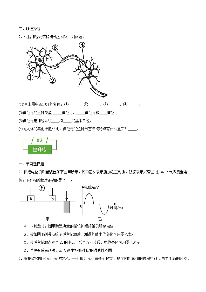 浙教版2019高二生物选择性必修1  2.1神经系统第神经调节的结构基础 分层练习03