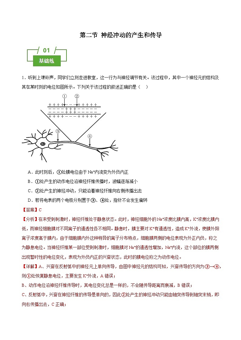 浙教版2019高二生物选择性必修1  2.2神经冲动的产生和传导 分层练习01