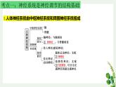浙教版2019高二生物选择性必修1  第二章神经调节 章末复习课件