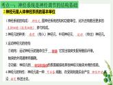 浙教版2019高二生物选择性必修1  第二章神经调节 章末复习课件
