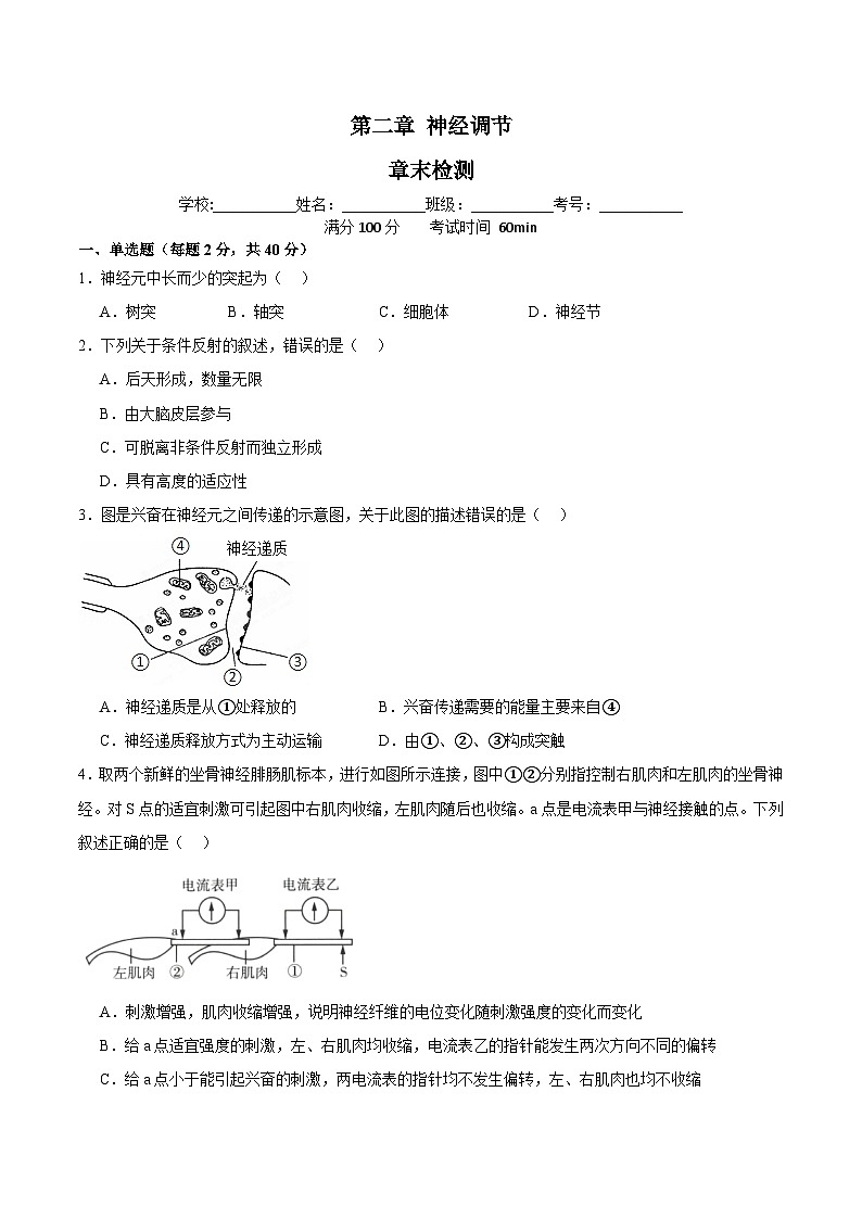 浙教版2019高二生物选择性必修1  第二章神经调节 章末检测01
