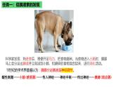浙教版2019高二生物选择性必修1  3.1体液调节是通过化学信号实现的调节 课件