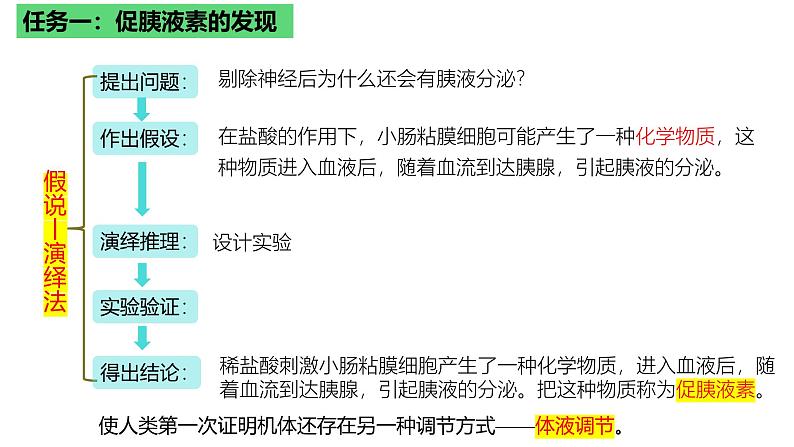 浙教版2019高二生物选择性必修1  3.1体液调节是通过化学信号实现的调节 课件07