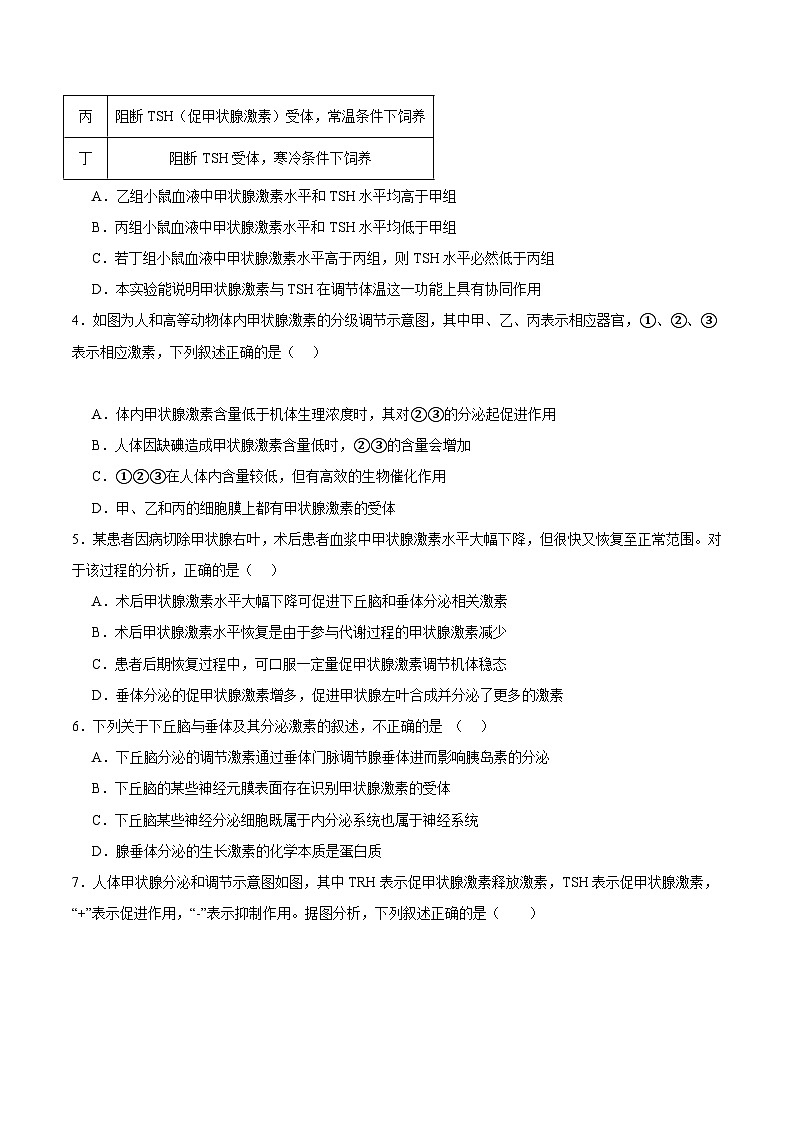 浙教版2019高二生物选择性必修1  3.2神经系统通过下丘脑控制内分泌系统 分层练习02