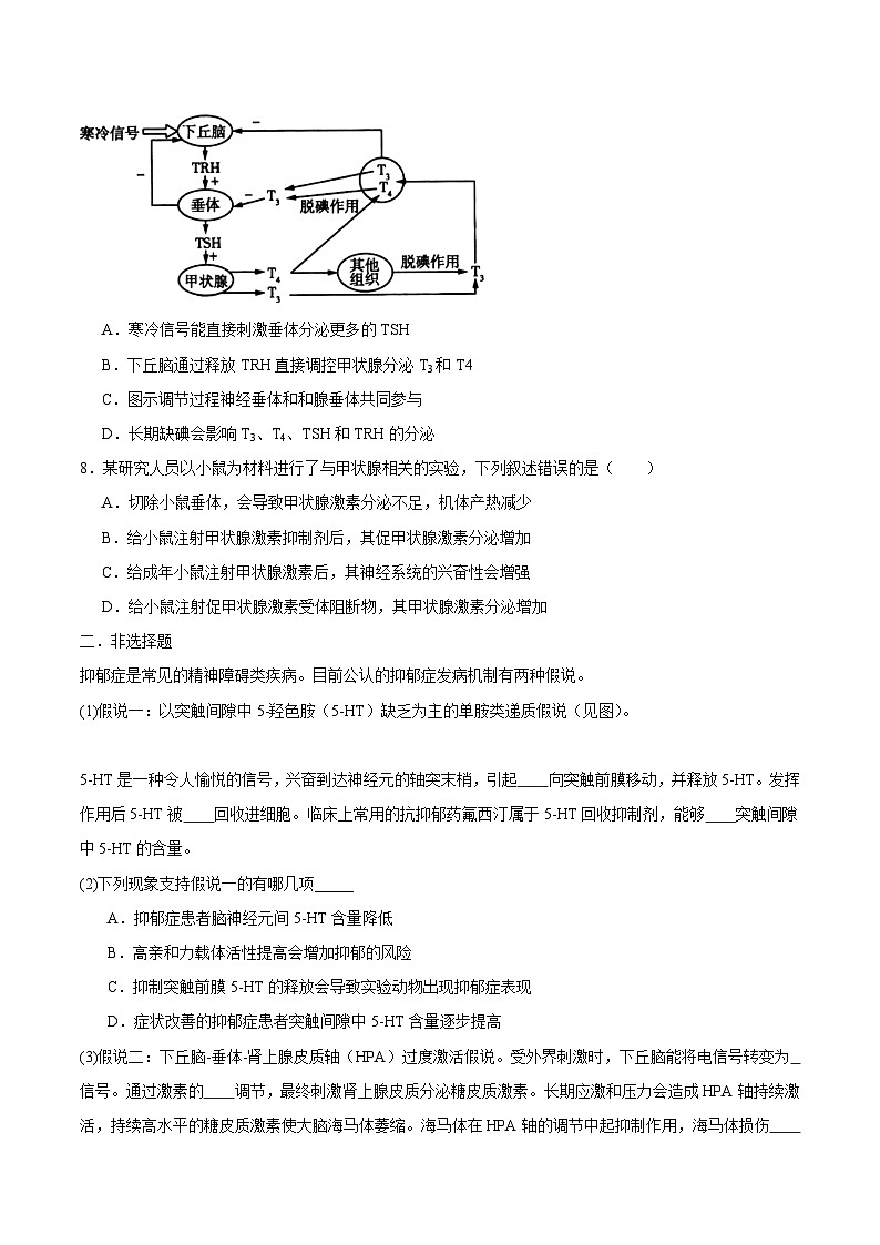 浙教版2019高二生物选择性必修1  3.2神经系统通过下丘脑控制内分泌系统 分层练习03