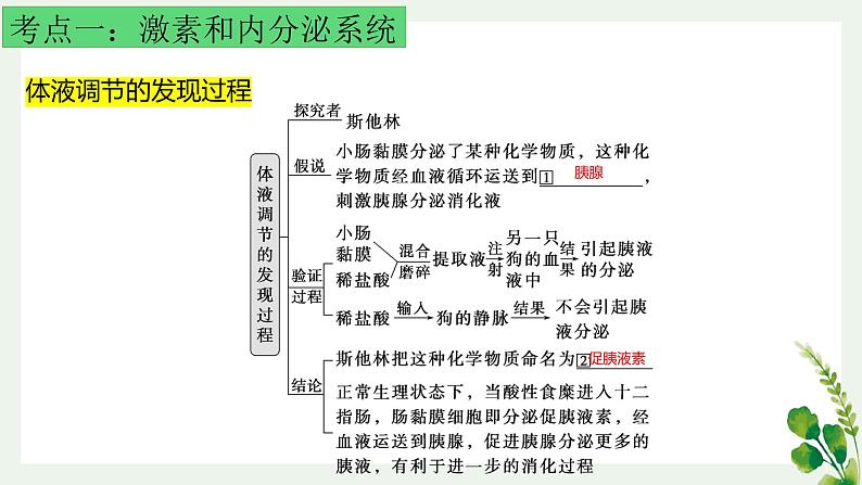 浙教版2019高二生物选择性必修1  第三章体液调节 章末复习课件02