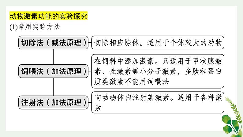 浙教版2019高二生物选择性必修1  第三章体液调节 章末复习课件03