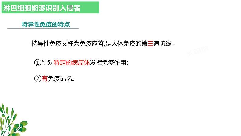 浙教版2019高二生物选择性必修1  4.3人体通过特异性免疫对抗病原体 课件05