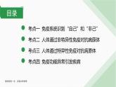 浙教版2019高二生物选择性必修1  第四章免疫调节 章末复习课件