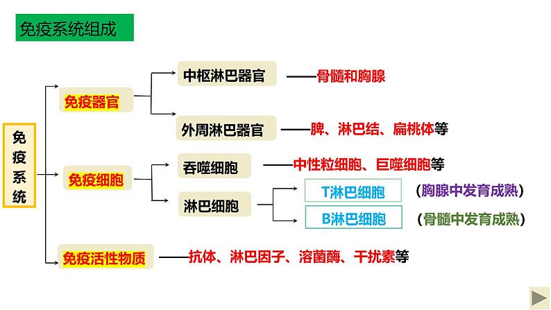 浙教版2019高二生物选择性必修1  第四章免疫调节 章末复习课件06