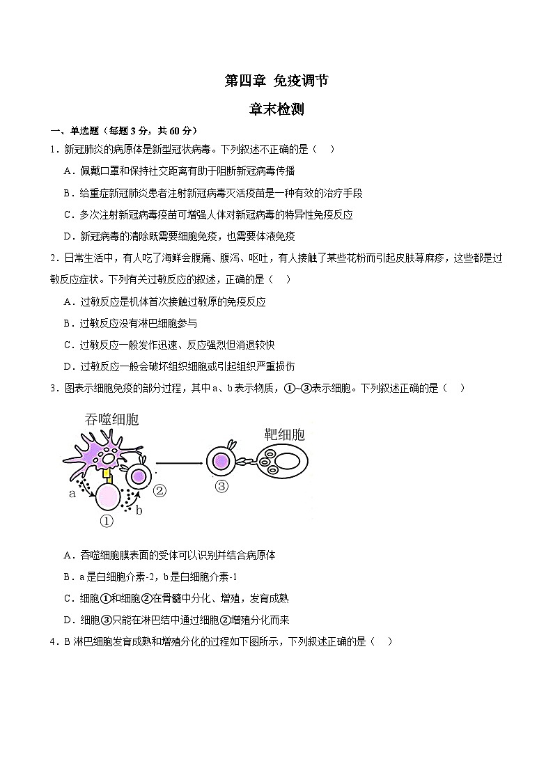 浙教版2019高二生物选择性必修1  第四章免疫调节 章末检测01