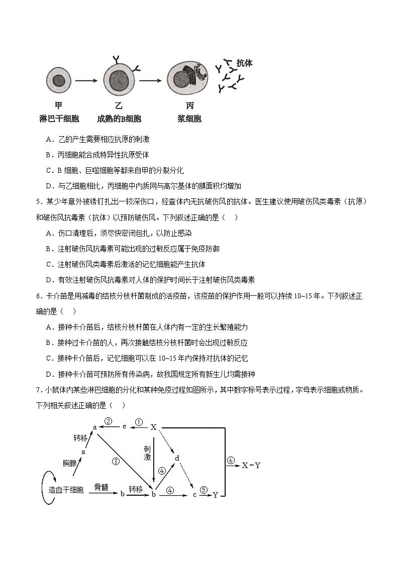 浙教版2019高二生物选择性必修1  第四章免疫调节 章末检测02