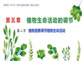 浙教版2019高二生物选择性必修1  5.2植物激素调节植物生命活动 课件