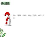 浙教版2019高二生物选择性必修1  5.2植物激素调节植物生命活动 课件