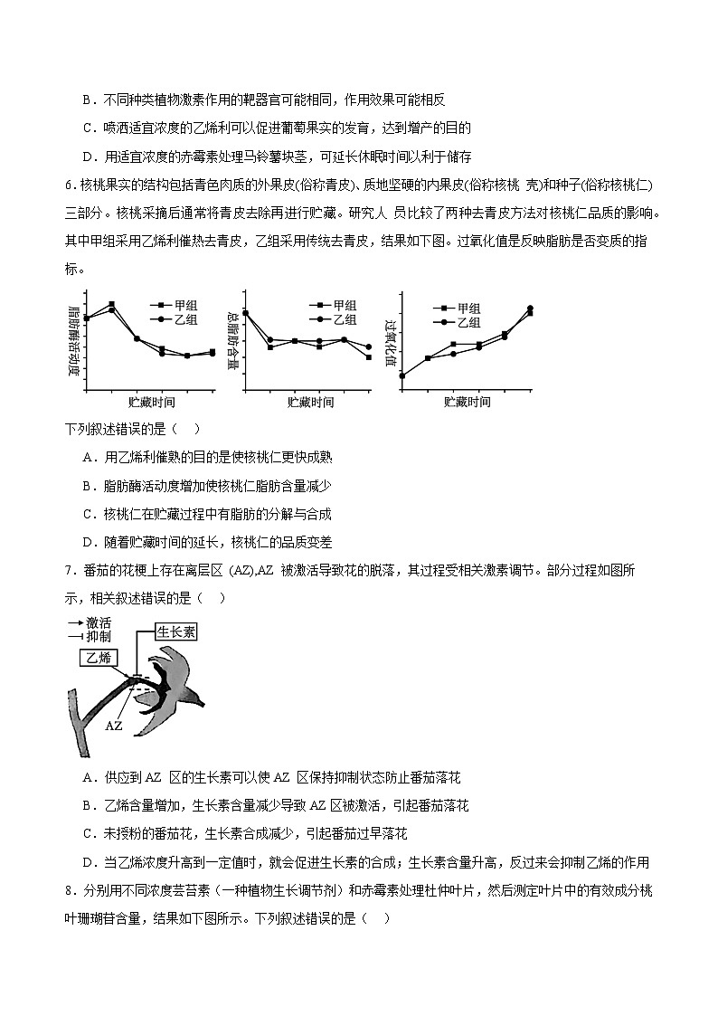 浙教版2019高二生物选择性必修1  5.2 植物激素调节植物生命活动（原卷版）第2页