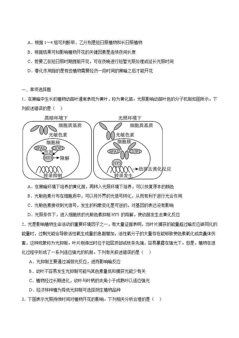 浙教版2019高二生物选择性必修1  5.3植物对多种环境信号作出反应 分层练习03