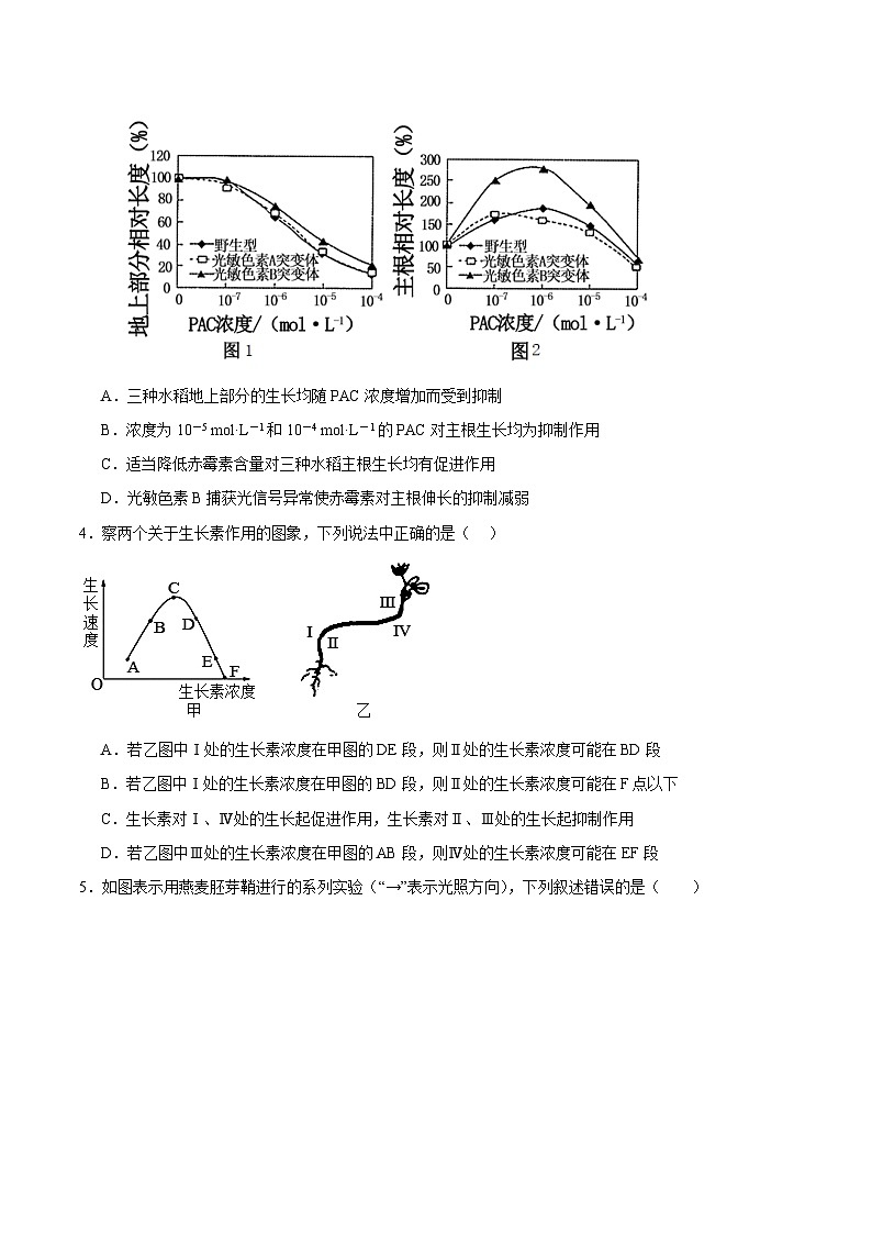 浙教版2019高二生物选择性必修1  第五章 植物生命活动的调节（章末检测）（原卷版）第2页