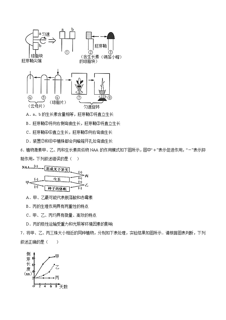 浙教版2019高二生物选择性必修1  第五章 植物生命活动的调节（章末检测）（原卷版）第3页