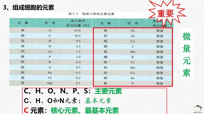 浙科版2019高一生物必修一 1.1水和无机盐是构成细胞的重要无机物课 课件05