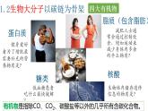浙科版2019高一生物必修一 1.2生物大分子以碳鏈為骨架（第1課時糖類、脂質(zhì)） 課件