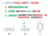 浙科版2019高一生物必修一 1.2生物大分子以碳鏈為骨架（第1課時糖類、脂質(zhì)） 課件