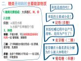 浙科版2019高一生物必修一 1.2生物大分子以碳鏈為骨架（第1課時糖類、脂質(zhì)） 課件