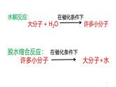 浙科版2019高一生物必修一 1.2生物大分子以碳鏈為骨架（第1課時糖類、脂質(zhì)） 課件