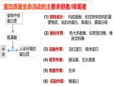 浙科版2019高一生物必修一 1.2生物大分子以碳鏈為骨架（第2課時蛋白質(zhì)） 課件