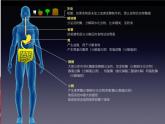 浙科版2019高一生物必修一 1.2生物大分子以碳鏈為骨架（第2課時蛋白質(zhì)） 課件