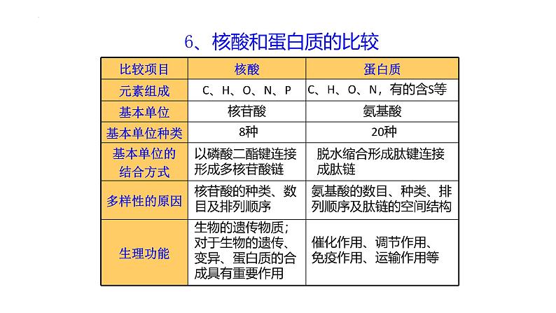 浙科版2019高一生物必修一 1.2生物大分子以碳链为骨架（第3课时核酸、三大有机物检测） 课件07