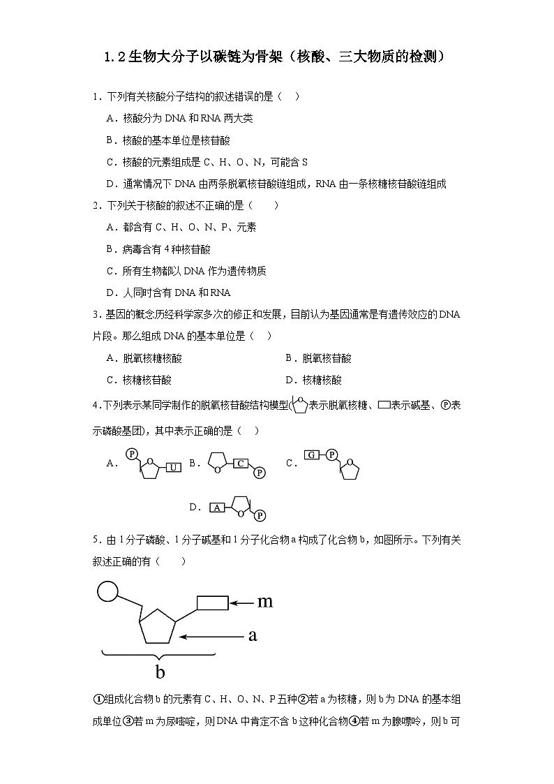 浙科版2019高一生物必修一 1.2生物大分子以碳链为骨架（第3课时核酸、三大有机物检测）分层练习01