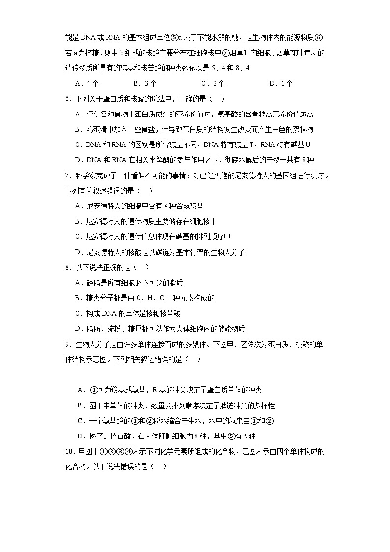 浙科版2019高一生物必修一 1.2生物大分子以碳链为骨架（第3课时核酸、三大有机物检测）分层练习02