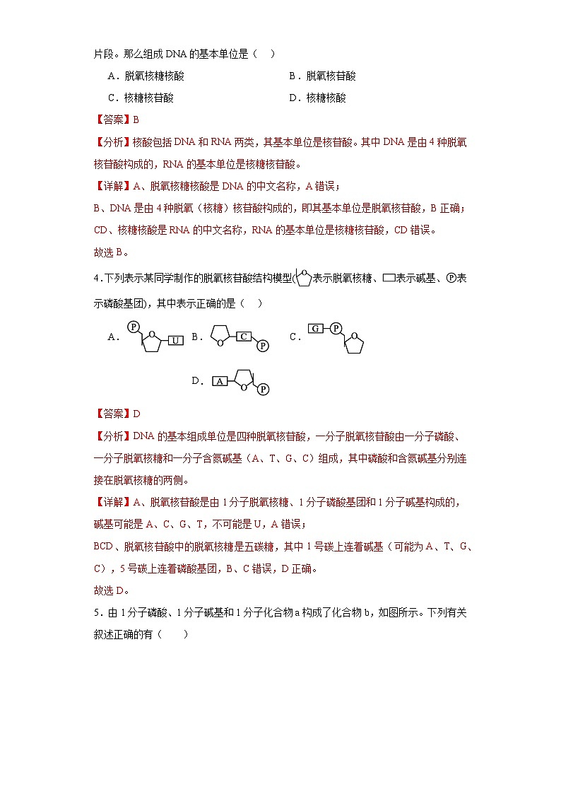 浙科版2019高一生物必修一 1.2生物大分子以碳链为骨架（第3课时核酸、三大有机物检测）分层练习02