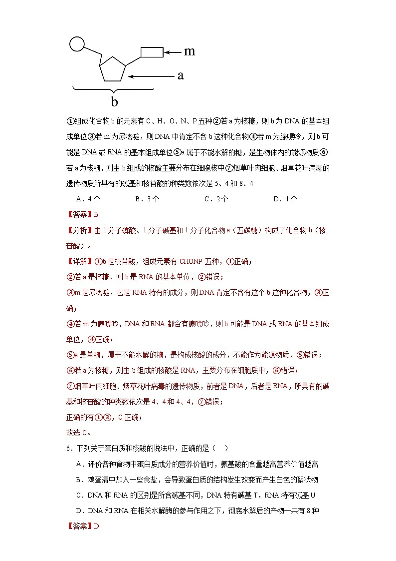 浙科版2019高一生物必修一 1.2生物大分子以碳链为骨架（第3课时核酸、三大有机物检测）分层练习03